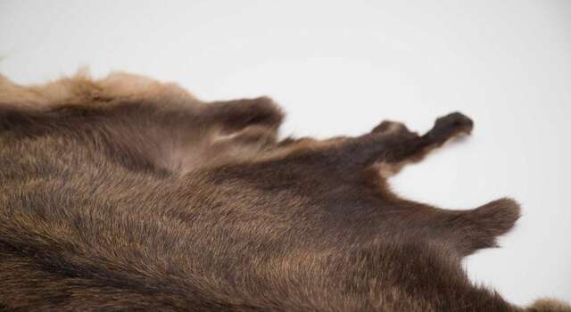 Хостел «Бла Бла»  Краснодар-59